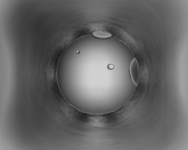 X0000113090417200908281247