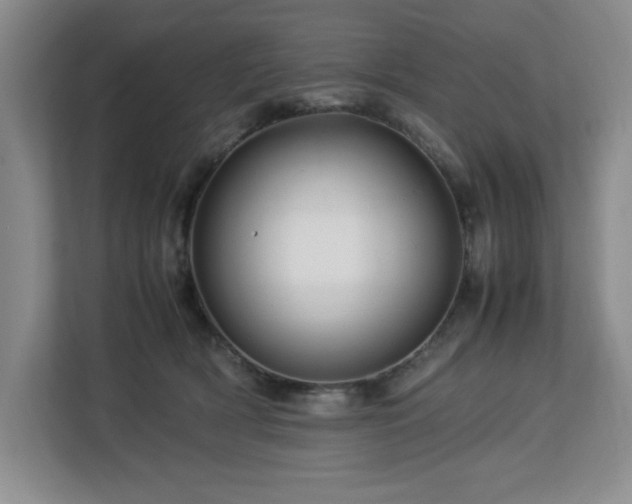 X0000113090418200908281247