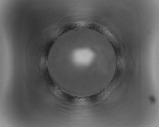 X0000113090419200908281247