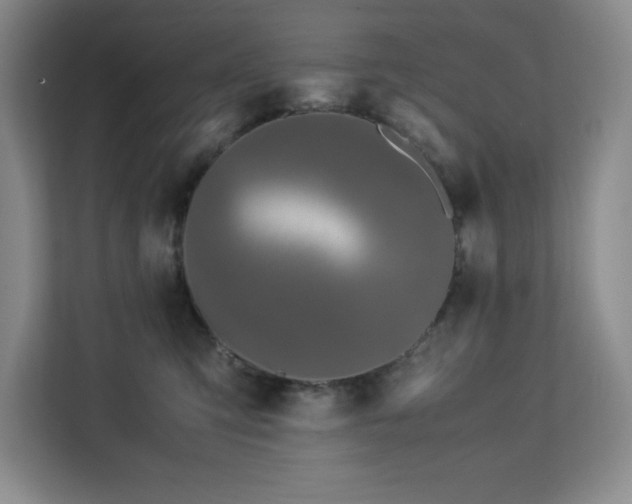X0000113090423200908281247