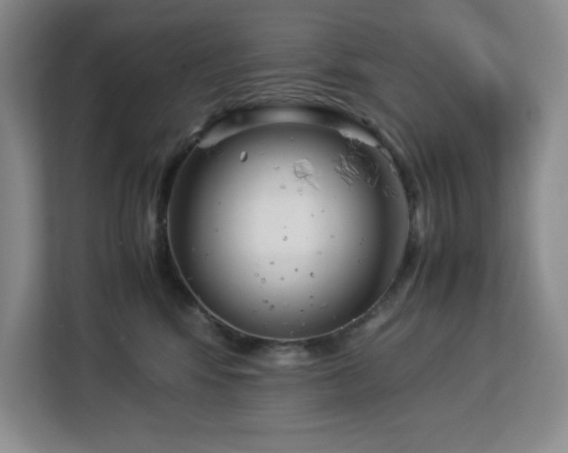 X0000113090424200908281247