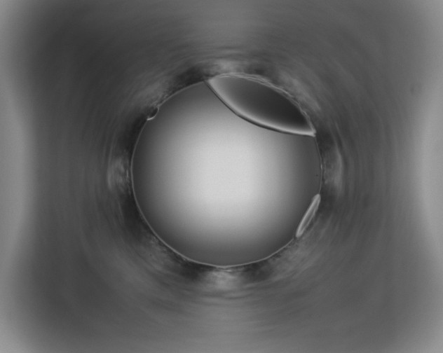 X0000113090425200908281247