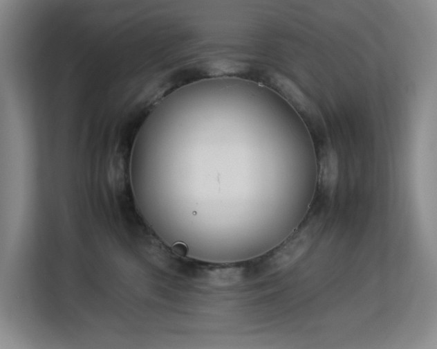 X0000113090426200908281247