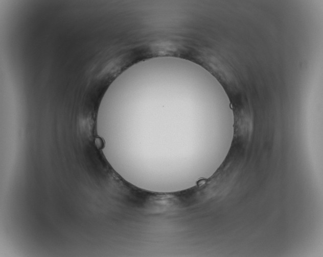 X0000113090427200908281247