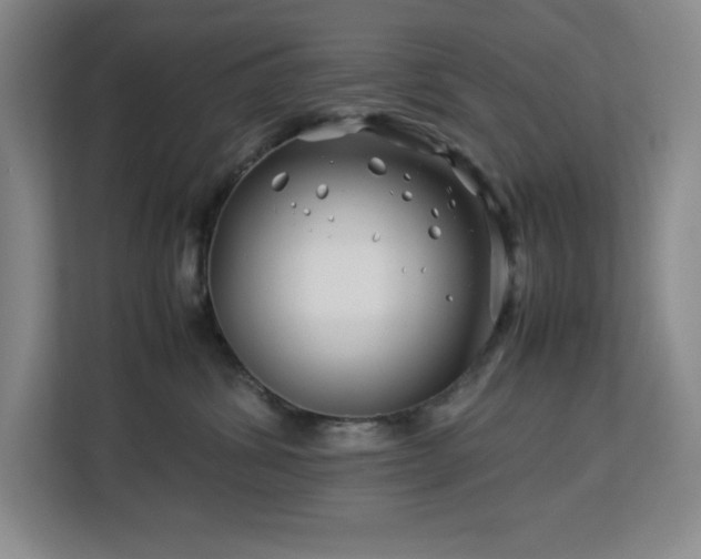 X0000113090428200908281247