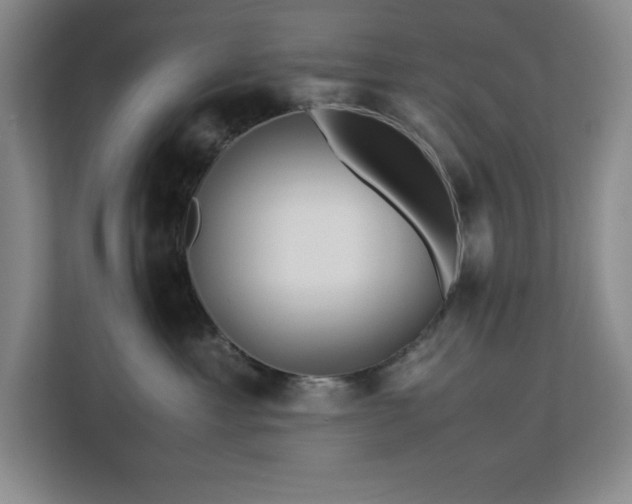 X0000113090429200908281247