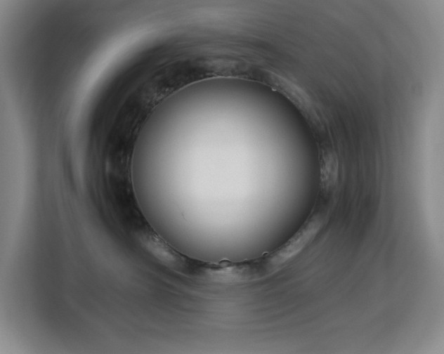 X0000113090430200908281247