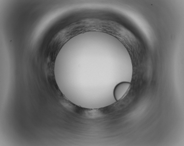 X0000113090431200908281247