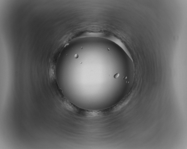 X0000113090432200908281247