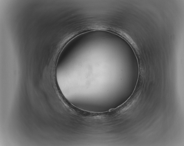 X0000113090433200908281246