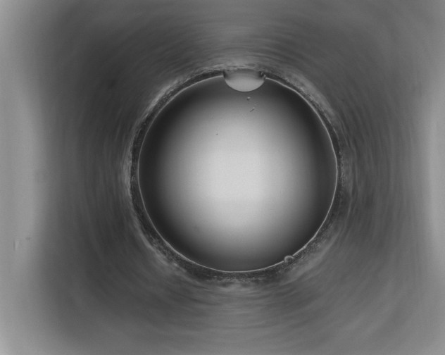 X0000113090434200908281246