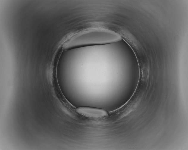 X0000113090436200908281246