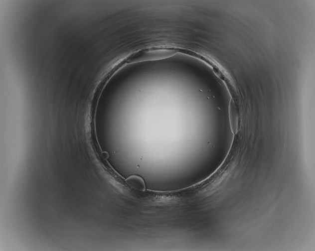 X0000113090437200908281246
