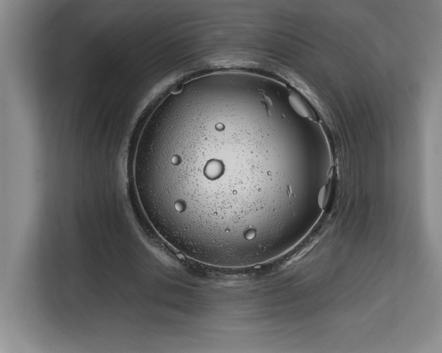 X0000113090438200908281246