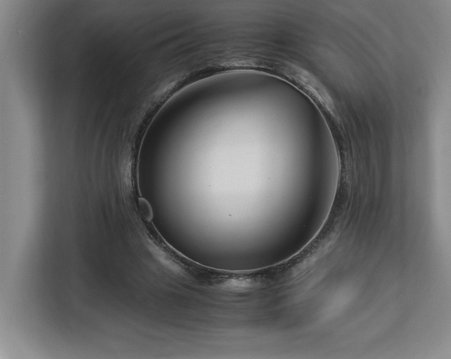 X0000113090441200908281246
