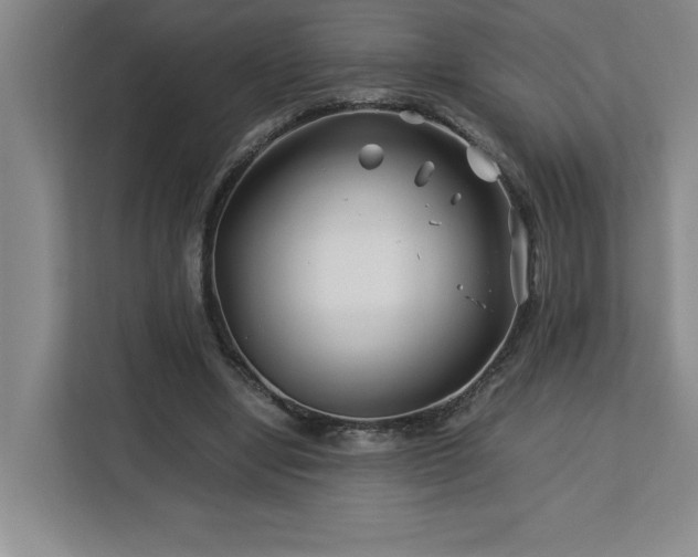 X0000113090442200908281246