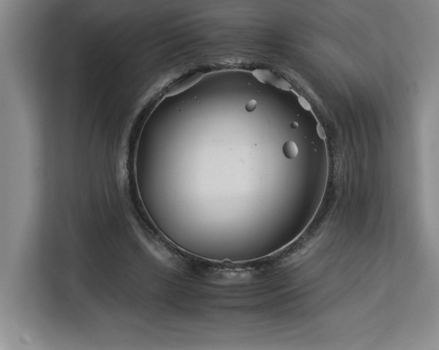 X0000113090443200908281246
