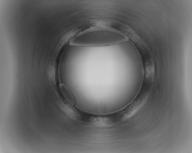 X0000113090444200908281246