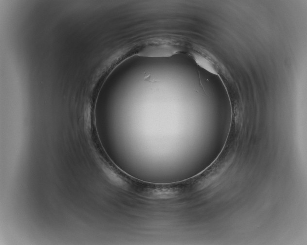 X0000113090445200908281246
