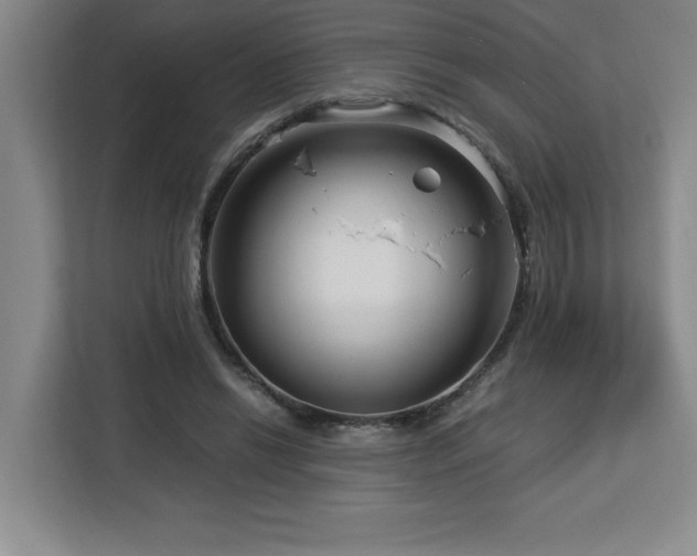 X0000113090446200908281246