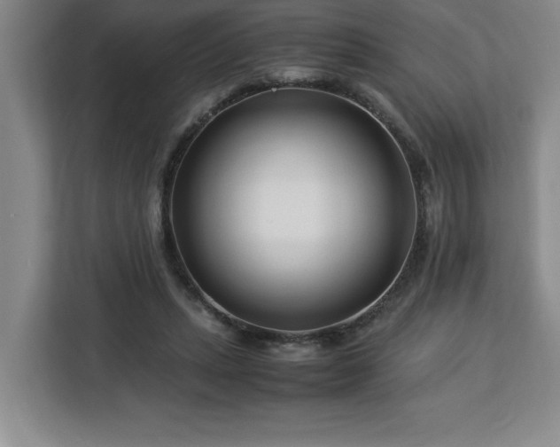 X0000113090447200908281246
