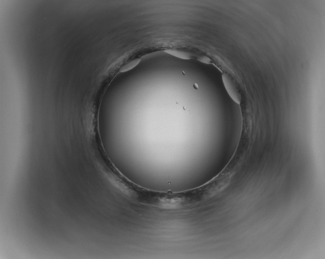 X0000113090450200908281247