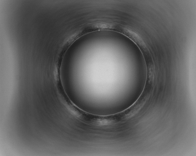 X0000113090453200908281247