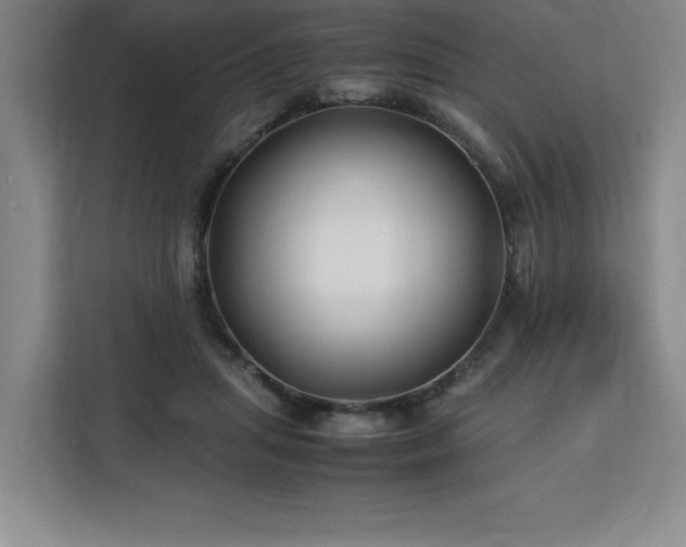 X0000113090455200908281247