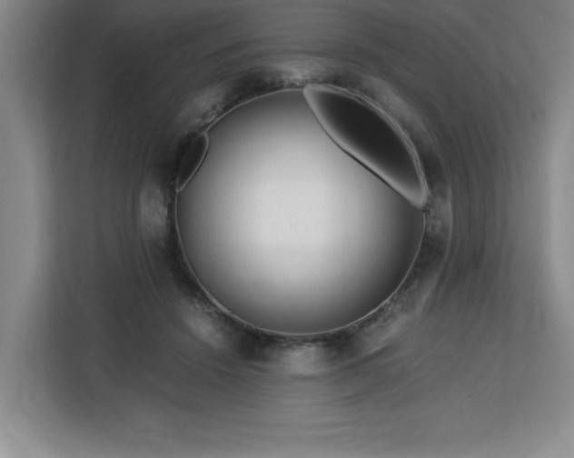 X0000113090456200908281247