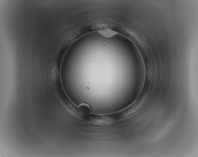 X0000113090459200908281247