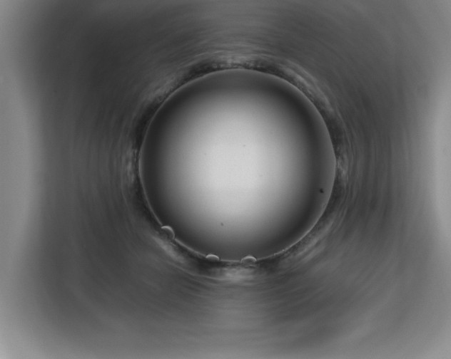 X0000113090462200908281247