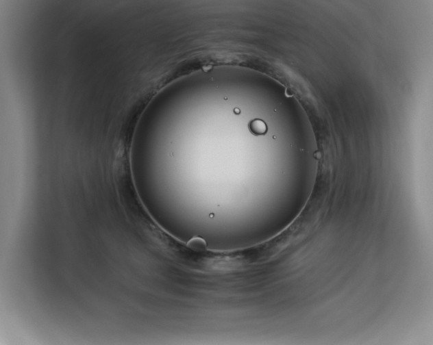 X0000113090465200908281247
