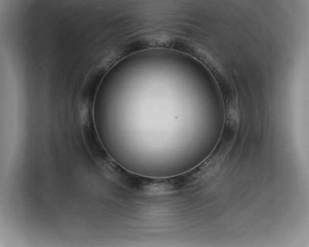 X0000113090468200908281247