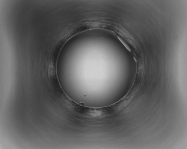 X0000113090469200908281247