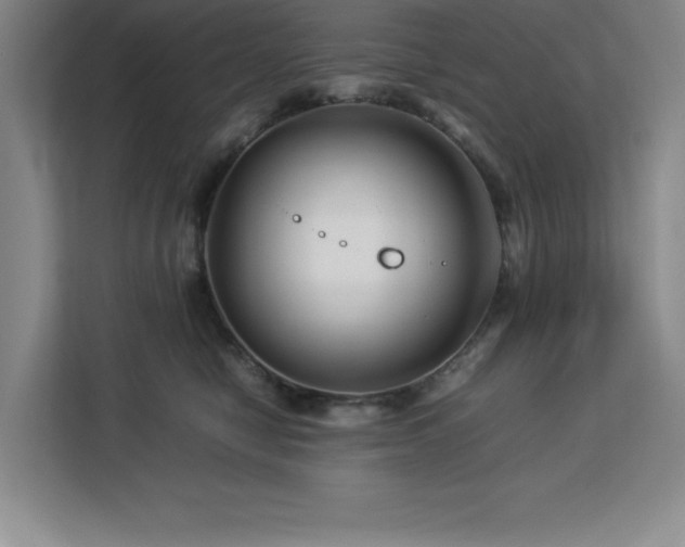 X0000113090470200908281247