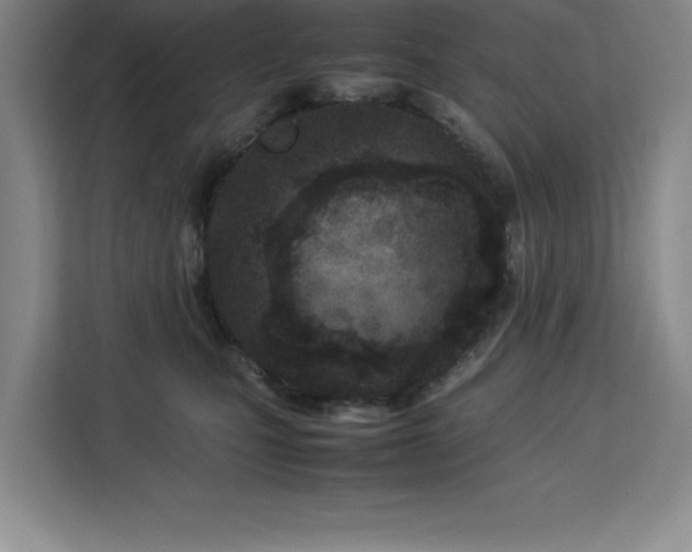 X0000113090471200908281247