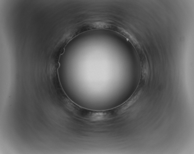 X0000113090473200908281247