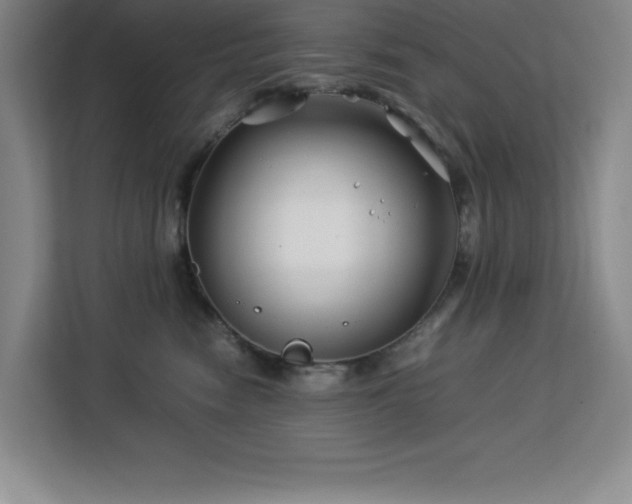 X0000113090474200908281247