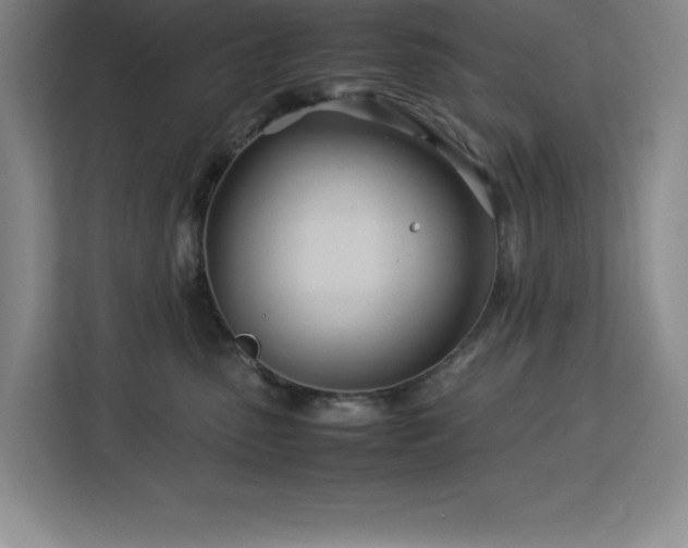 X0000113090475200908281247