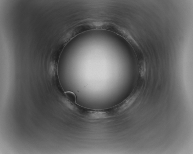 X0000113090476200908281247