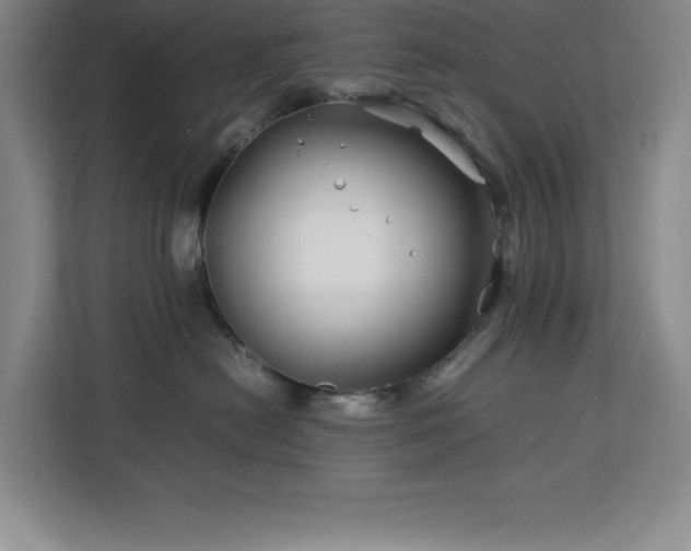 X0000113090478200908281247