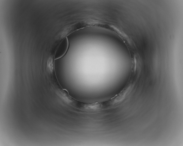 X0000113090479200908281247