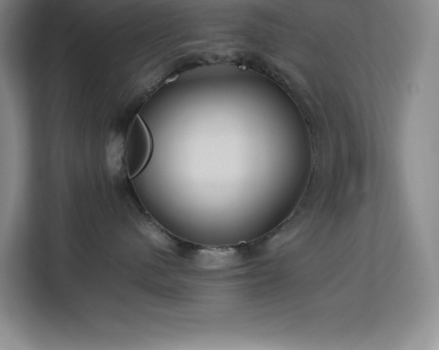 X0000113090480200908281247