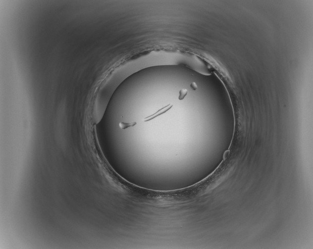 X0000113090481200908281246