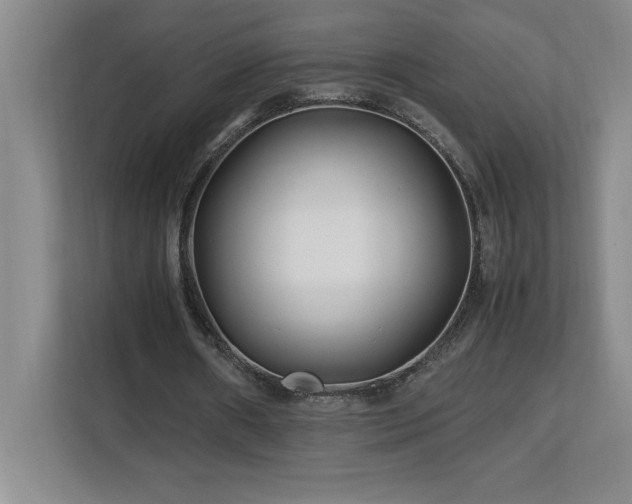 X0000113090482200908281246