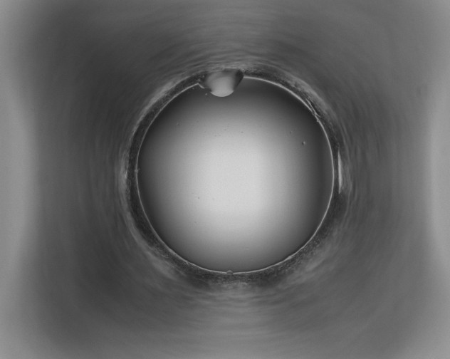 X0000113090483200908281246