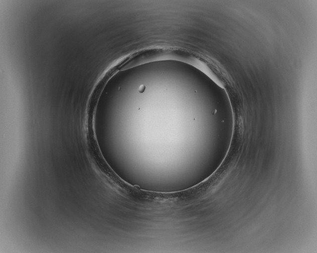 X0000113090484200908281246