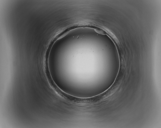 X0000113090485200908281246