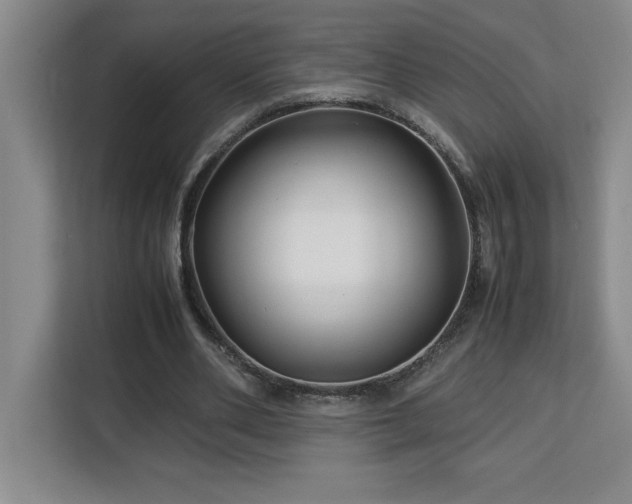 X0000113090486200908281246