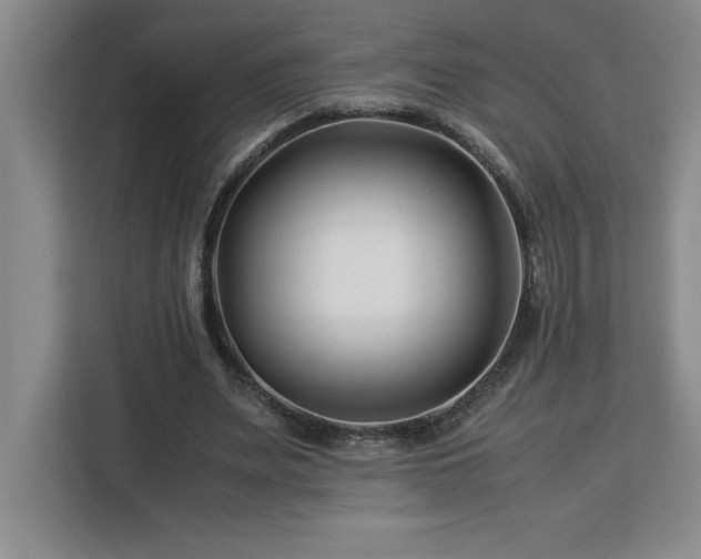 X0000113090487200908281246